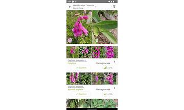 PlantNet Plant Identification for Android - Download the APK from Habererciyes